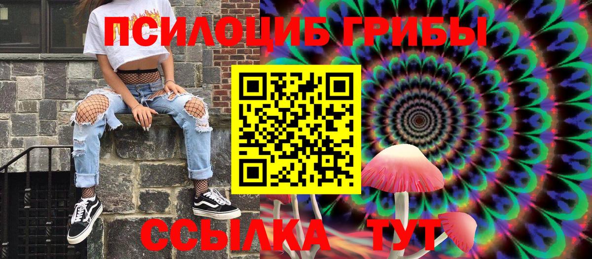 Псилоцибиновые грибы Psilocybe Сатка