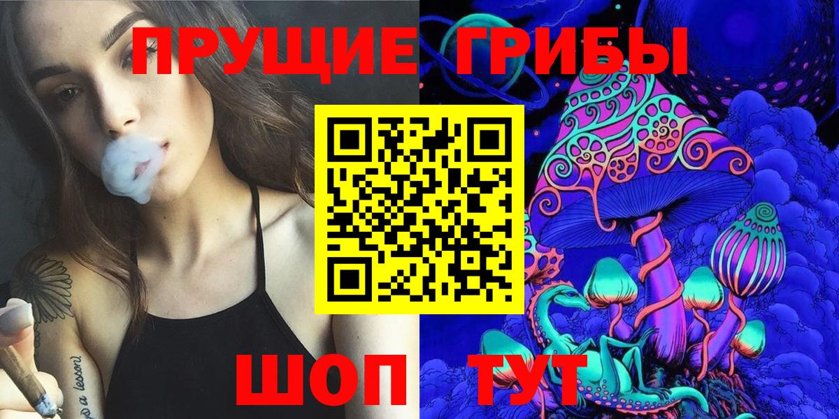 Сатка  Псилоцибиновые грибы GOLDEN TEACHER  Вход с VPN 